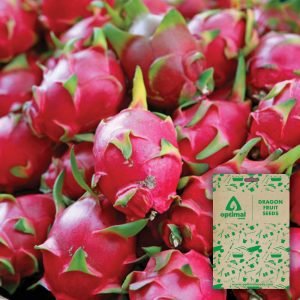 Dragon Fruit Seeds
