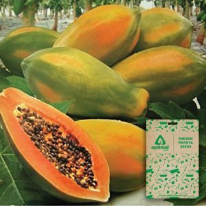 Indian Papaya Seeds