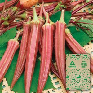 Red Ladies Finger Seeds (Red Okra)