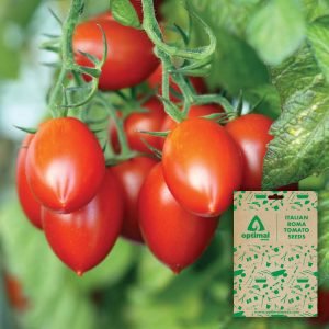 Italian Roma Tomato Seeds